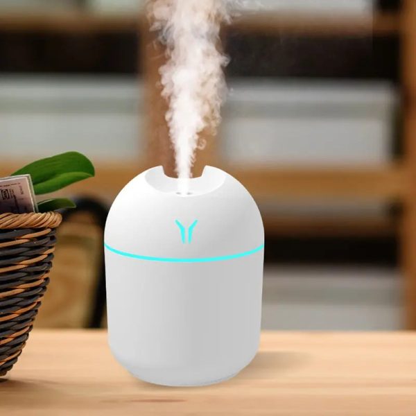 DF20000 Electronic Humidifier Aromatherapy